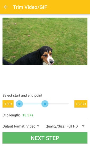 Image 1 for Video & GIF Memes