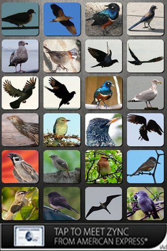 Image 0 for Bird Sounds Free