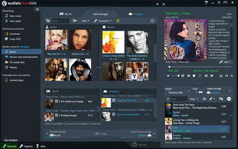 Imagen 0 para Audials Tunebite Premium