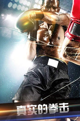 Imagen 0 para THE FIGHTERS KING