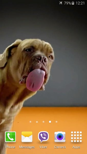 Imagen 3 para Dog Licks Screen 4K Wallp…