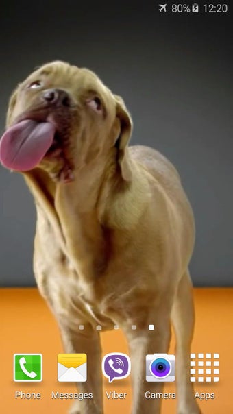 Imagen 2 para Dog Licks Screen 4K Wallp…
