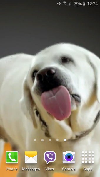 Imagen 1 para Dog Licks Screen 4K Wallp…