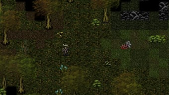 Image 2 for 9th Dawn RPG
