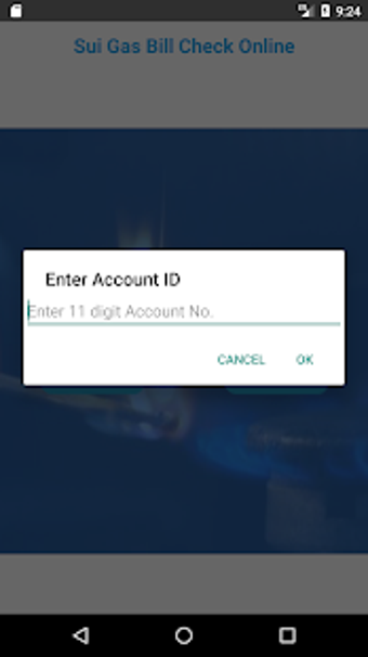 Image 2 for Sui Gas Bill Check Online