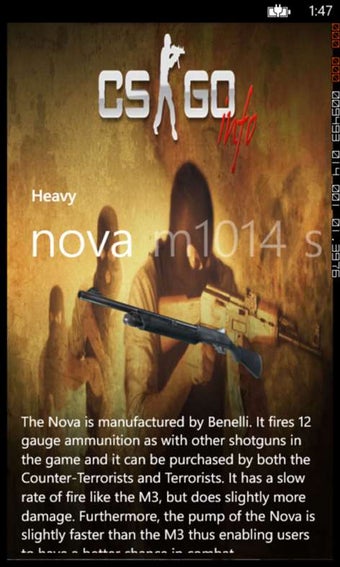 Image 1 for CS:GO Weapon Info for Win…