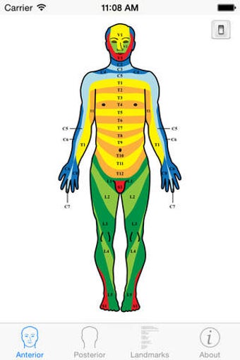 Image 0 for Dermatomes