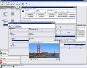 Image 0 for NoSQL Viewer