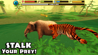 Image 0 for Tiger Simulator
