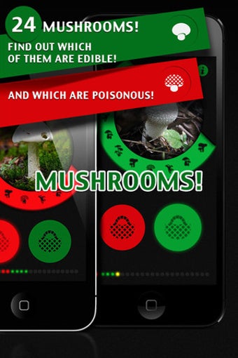 Image 0 for Learn Forest Mushrooms