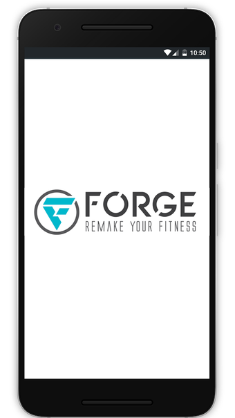 Imagen 2 para Forge