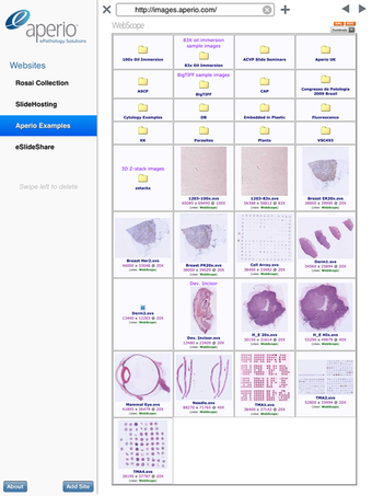 Image 0 for Aperio ePathViewer for iP…