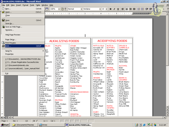 Image 1 for ES Image Printer Driver (…