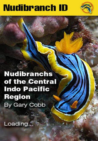 Image 0 for Nudibranch ID Indo Pacifi…