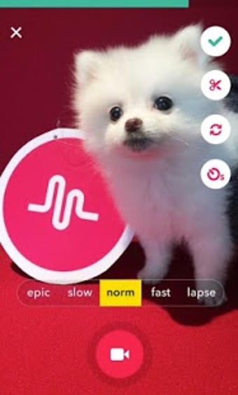 Image 0 for musical.ly lite