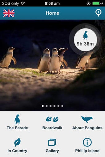 Image 0 for Penguin Parade, Phillip I…