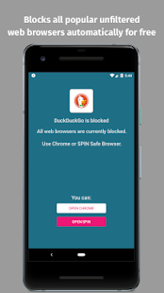 Image 0 for Filter Chrome browser + A…