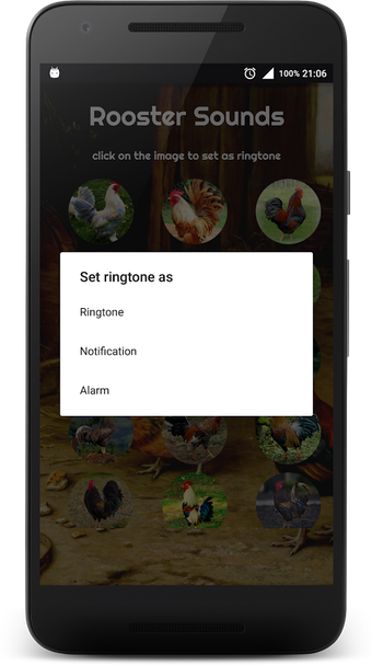 Imagen 1 para Rooster Alarm and Rington…