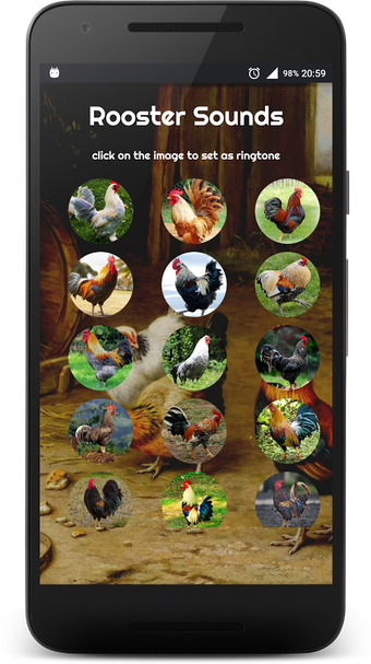 Imagen 0 para Rooster Alarm and Rington…