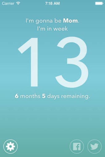 Image 0 for 40 weeks - pregnancy coun…