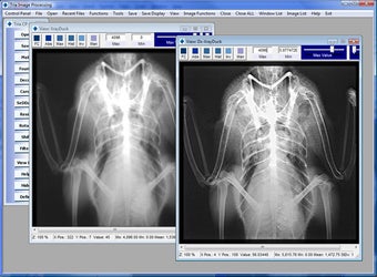 Image 2 for Tria (64-bit)