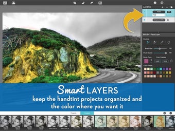 Imagen 2 para Hand Tint Pro