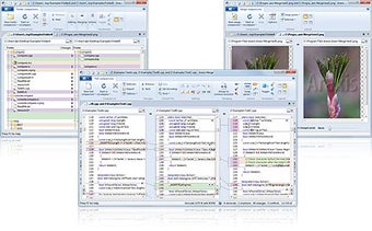 Image 0 for Araxis Merge