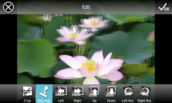 Imagen 0 para 3DSteroid Pro