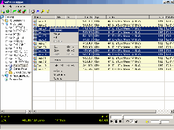 Image 0 for Softe CD Ripper