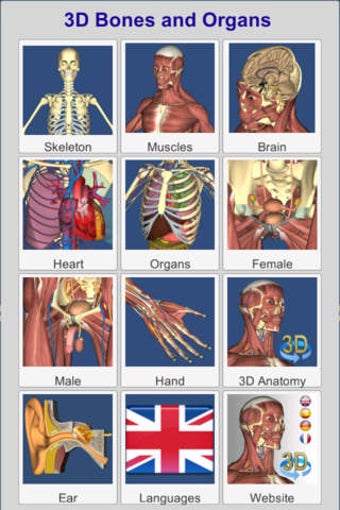 Image 0 for 3D Bones and Organs (Anat…