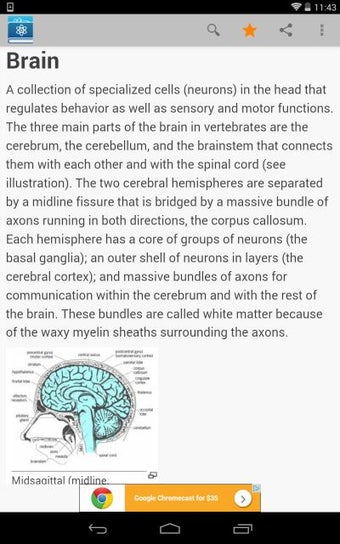 Imagen 0 para Science Dictionary by Far…