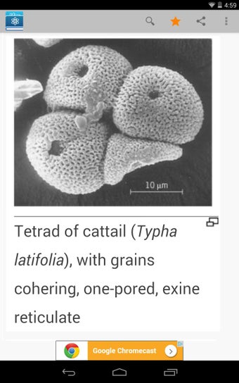 Imagen 1 para Science Dictionary by Far…
