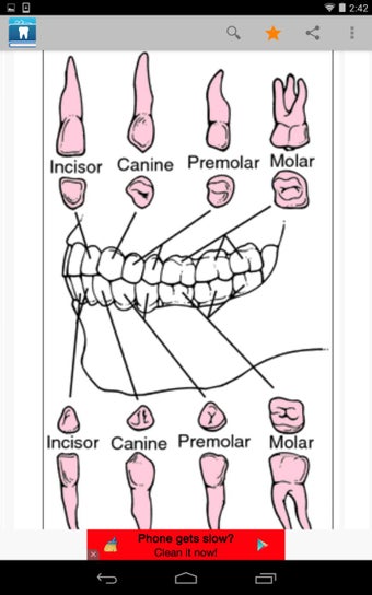 Imagen 0 para Dental Dictionary by Farl…