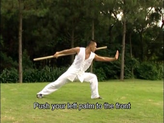 Image 0 for Shaolin kungfu Cudgel