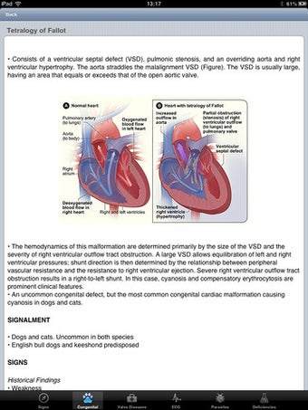 Image 3 for Vet Cardiology