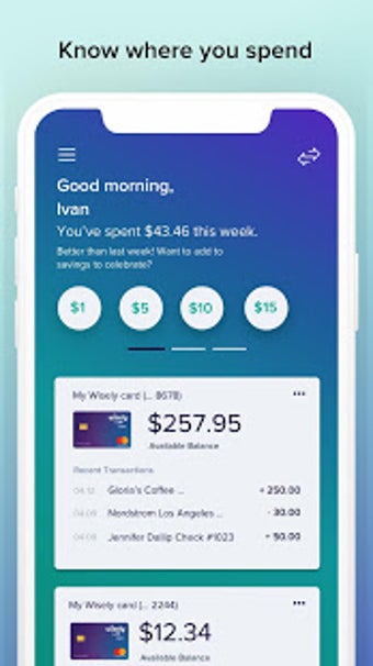 Image 1 for myWisely - Financial Well…
