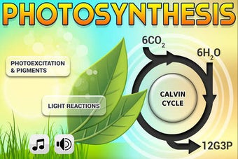 Image 0 for FCS Biology Photosynthesi…