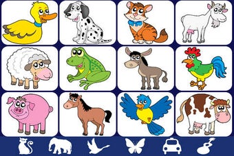 Image 0 for Video Touch - Animals
