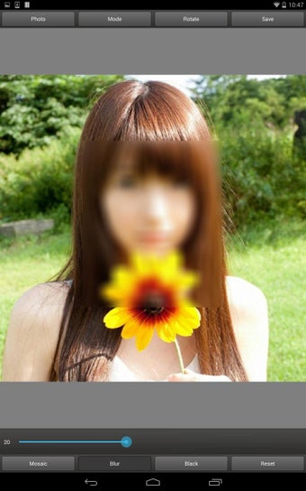 Image 2 for Mosaic Pixelate Censor