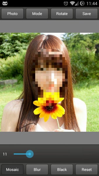 Image 0 for Mosaic Pixelate Censor