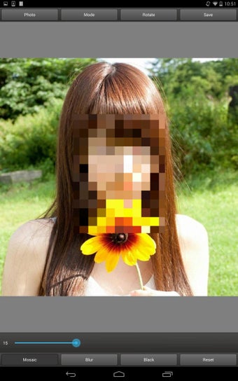 Image 3 for Mosaic Pixelate Censor