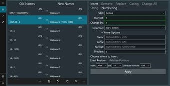 Imagen 2 para Bulk Rename for Windows 1…