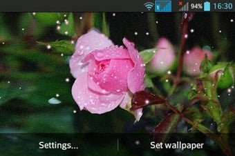 Image 1 for Rose
