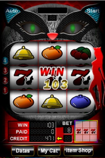 Image 2 for SLOTMACHINE MILD CAT