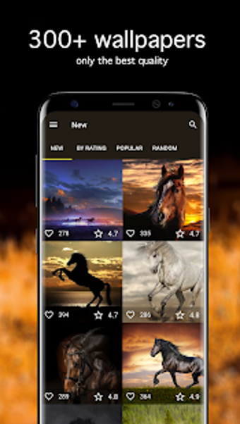 Image 2 for Horse Wallpapers 4K