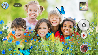 Image 0 for Butterfly