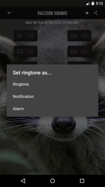 Imagen 2 para Raccoon Sounds