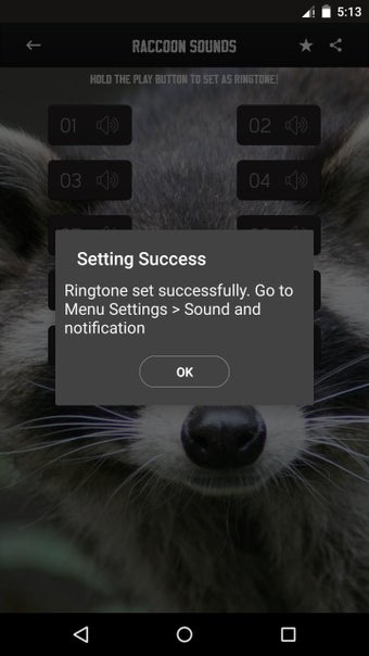 Imagen 3 para Raccoon Sounds