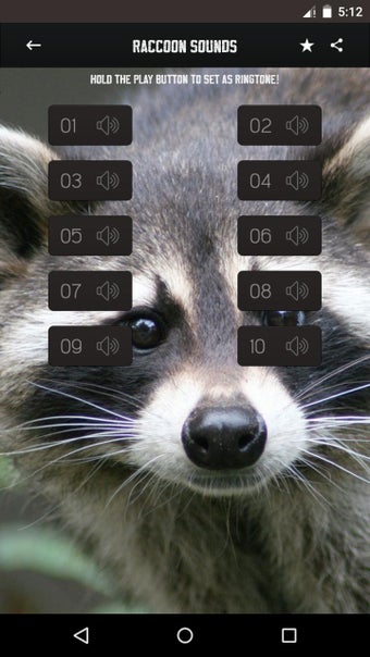 Imagen 0 para Raccoon Sounds