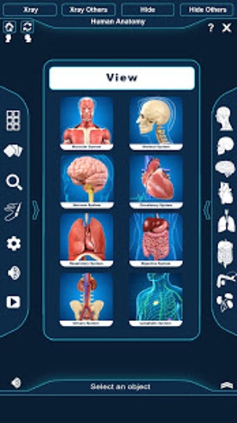 Image 3 for Human Anatomy